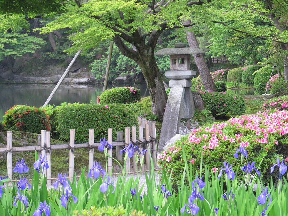 兼六園の夏