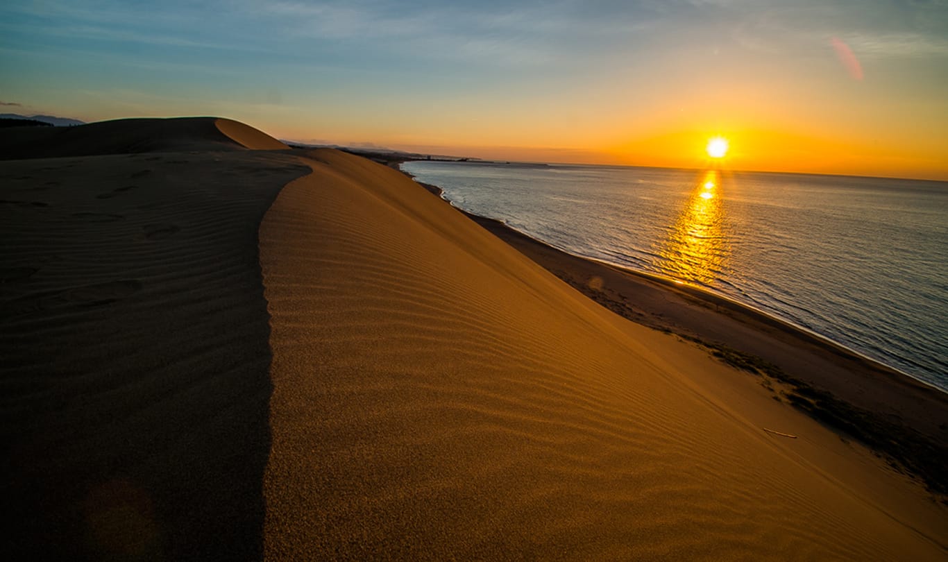 鳥取砂丘