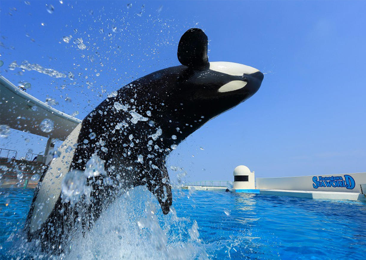 鴨川シーワールド