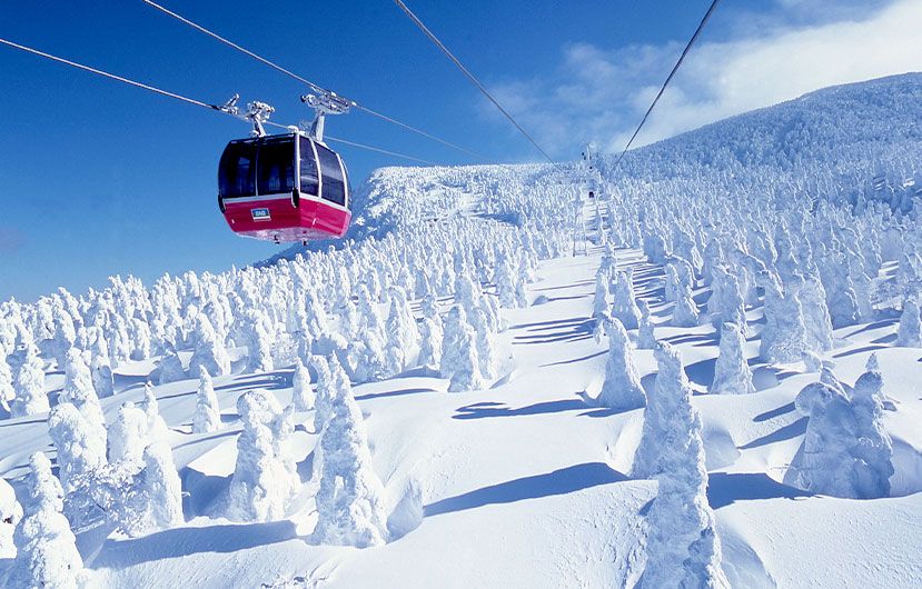 蔵王温泉と樹氷
